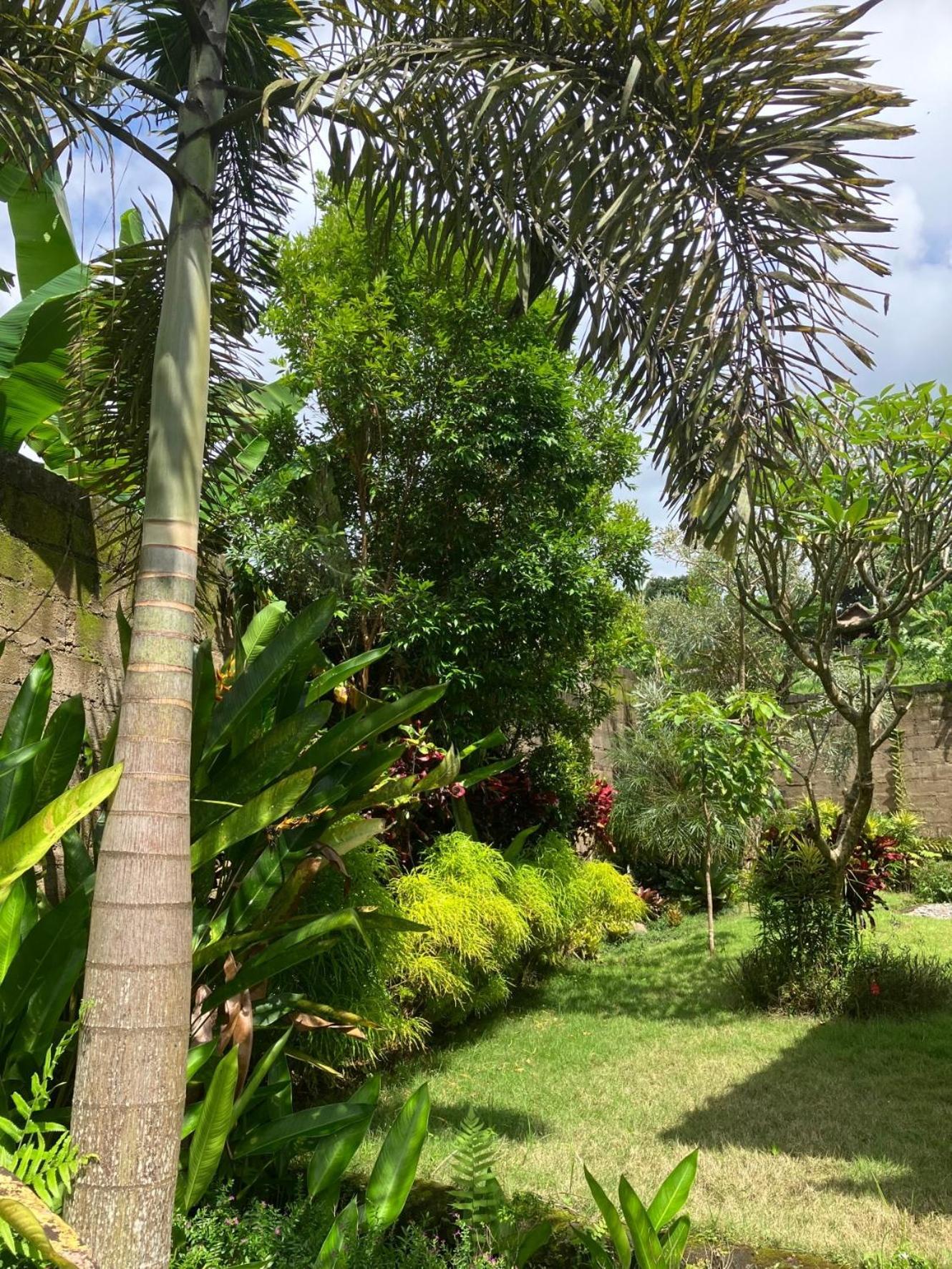 Villa Kelana سيديمين المظهر الخارجي الصورة