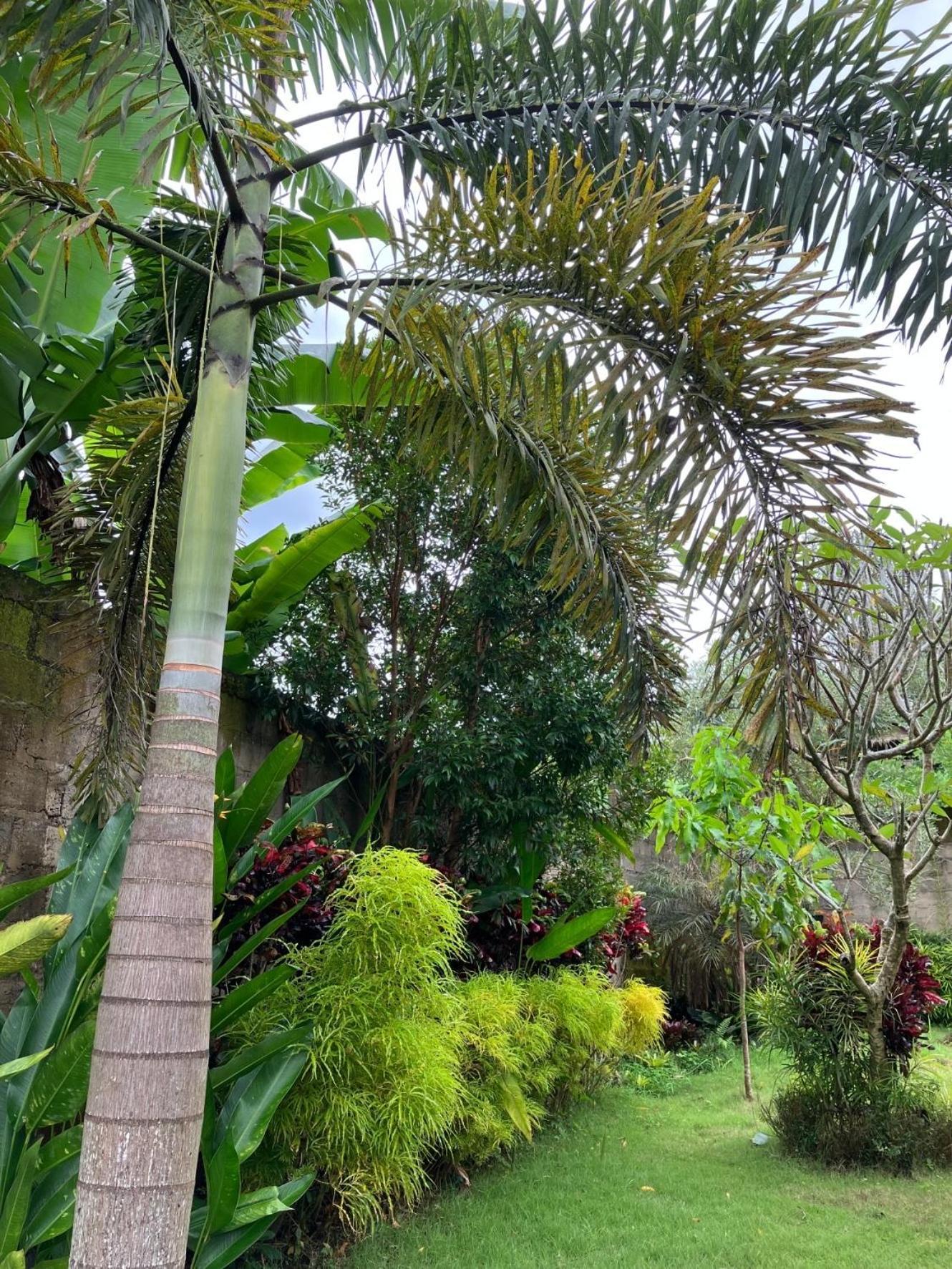 Villa Kelana سيديمين المظهر الخارجي الصورة